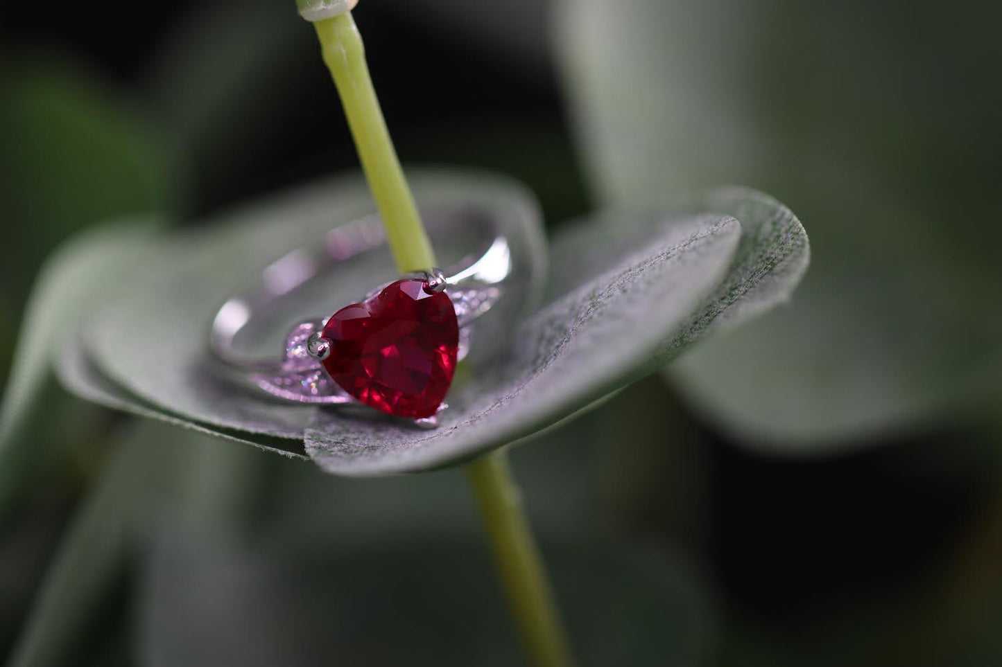 Sterling Silver Rhodium-plated CZ and Synthetic Ruby Heart Ring